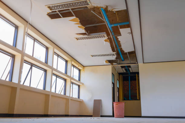 Best Carpet water damage restoration  in Crivitz, WI