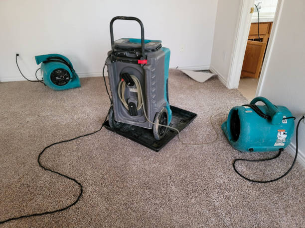 Best Flood damage cleanup  in Crivitz, WI