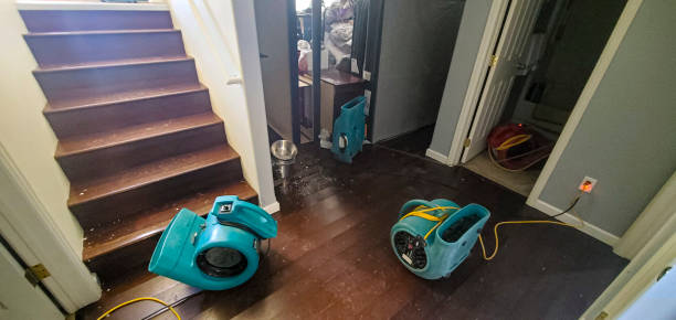 Best Sewage cleanup and water damage restoration  in Crivitz, WI