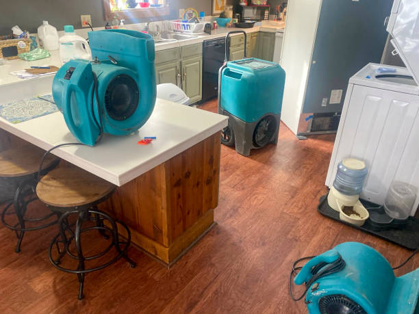 Water damage restoration experts in WI