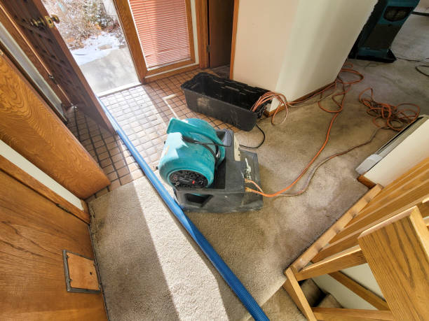 Best 24/7 water damage repair  in Crivitz, WI