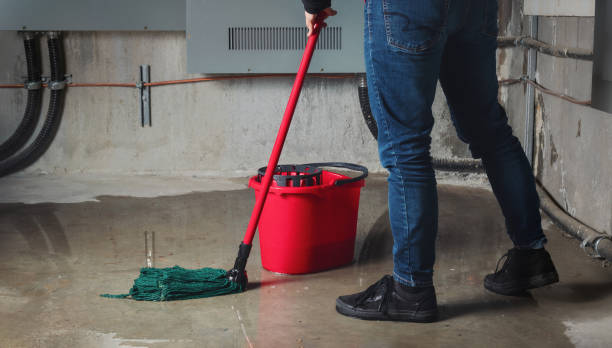 Best Residential water damage restoration  in Crivitz, WI