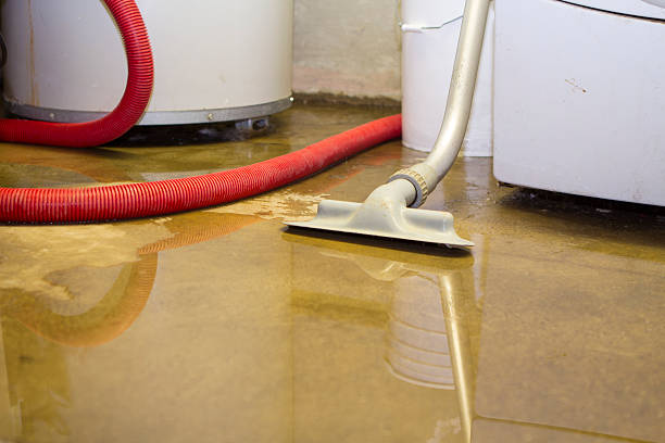 Best Water damage restoration near me  in Crivitz, WI