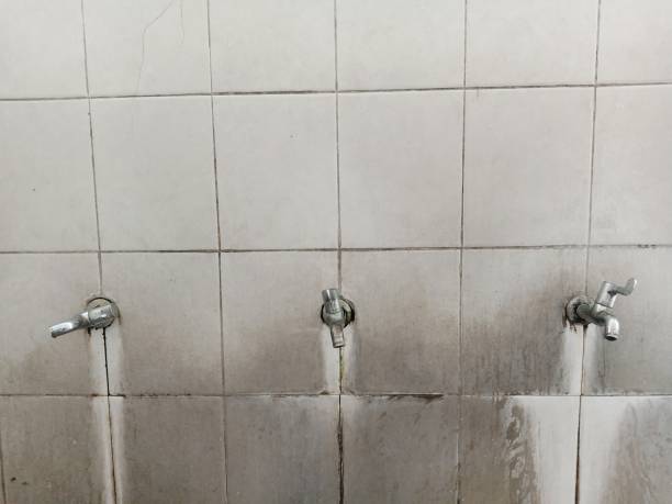 Best Carpet water damage restoration  in Crivitz, WI