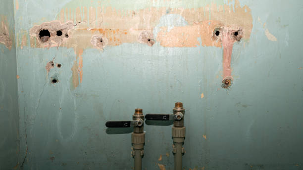 Best Fire Damage Restoration  in Crivitz, WI