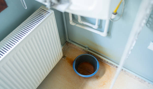 Best Water damage cleanup near me  in Crivitz, WI
