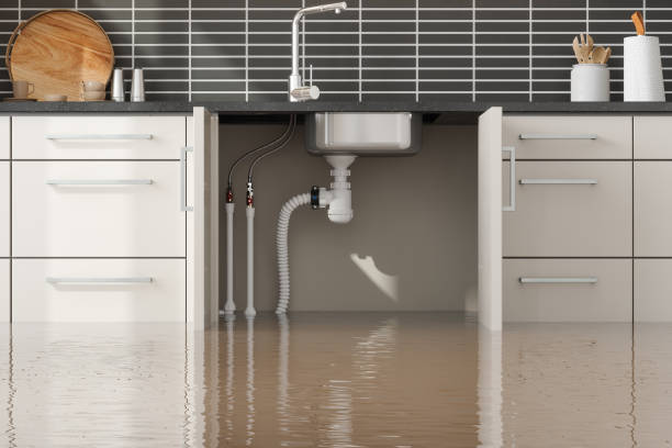 Best Water damage restoration experts  in Crivitz, WI