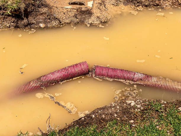 Best 24/7 water damage repair  in Crivitz, WI
