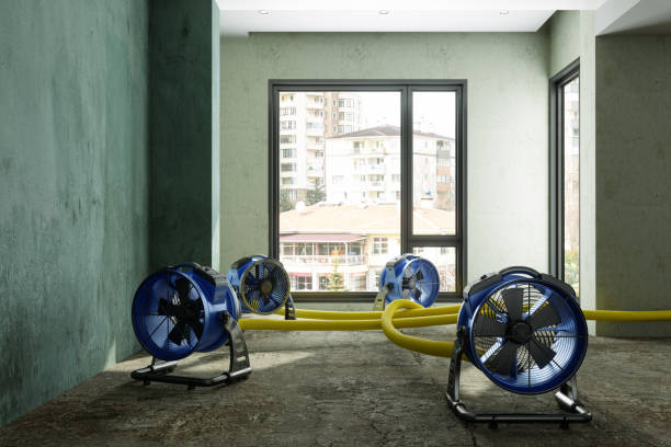 Best Basement water damage restoration  in Crivitz, WI